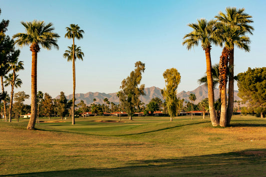 🥃 The Modern Golfer’s Guide: Best Bachelor Golf Trips for 2025
