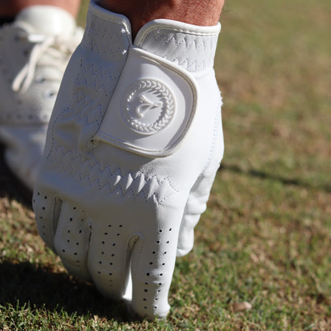 Dartee golf glove